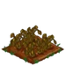 Amaranth withered