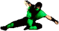 Sdzg