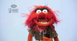 Win webby