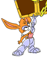 Bunnie
