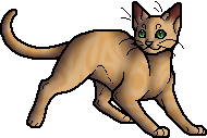 Die WindClan-Chroniken Sandstorm.apprentice