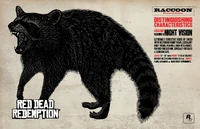 Raccoon