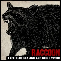 Raccoon rdr