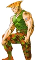 Guile (MvC2)