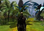 RigiliaNature1