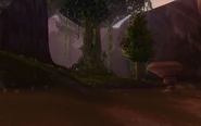 Thousand Needles - Feralas border