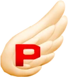 P-WingSMWWii