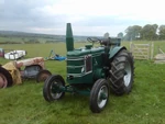 Field Marshall 3181 - GTF 918 - 3313690 n