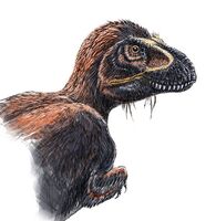 t rex covered in feathers
