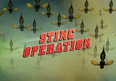Sting Operation