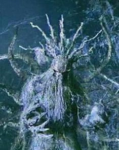 Man-Thing