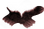 44px-Angelic.png