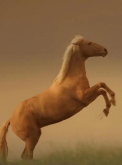Argo horse