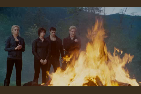 Cullens burning army