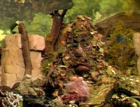 FraggleRock-509-Ring10