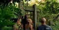 5x05-Orchidee.jpg