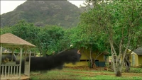 6x16SmokeyTakesRichard.jpg