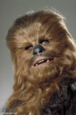 Chewbacca head.jpg