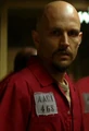 Zsaz Movie
