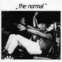 The+normal+-+warm+leatherette