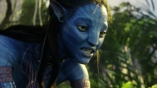 Avatar br 1531 20100520 1524931590
