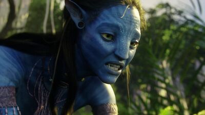 Avatar br 1531 20100520 1524931590