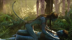 Avatar br 1526 20100520 1679440618