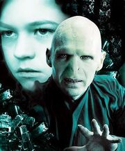 Many faces of Riddle crop