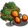 Persimmon Tree-icon
