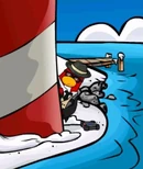 Club Penguin New Agent
