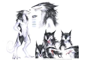 Sergal references