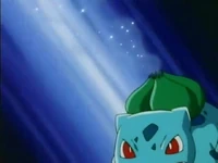 EP105 somnifero