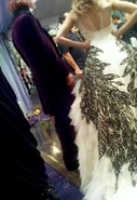 Bill and Fleur (The Bride and Groom's attire for their wedding - DH film)
