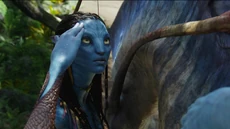 Neytiri - Inside