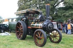 Wallis & Steevens no. 7269 - TE - Panther at Onslow Park 09 - IMG 6414