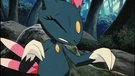 P04 Sneasel de Vicius