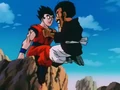 Zz6
