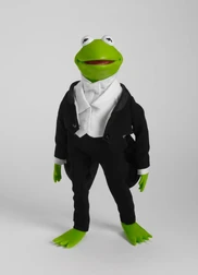 Flysoupkermit