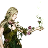 Elvish Druid