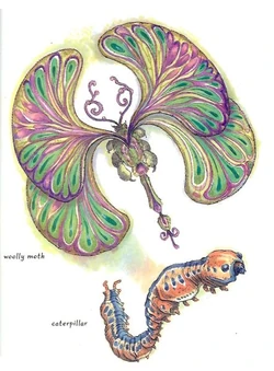 Woolly Moth.jpg