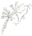 Goblin Army Knife.jpg