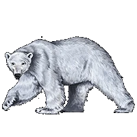 Huge item polar-bear 01.gif