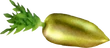 Gysahl Greens