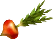 Krakka Greens