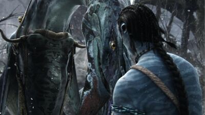 Jake & his ikran