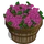 Lilac Bushel-icon