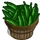 Cucumber Bushel-icon