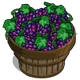 Grape Bushel-icon
