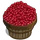 Cranberry Bushel-icon