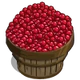 Cranberry Bushel-icon
